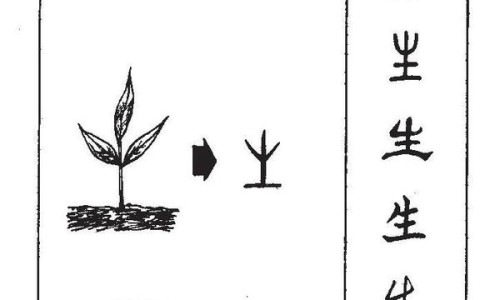 川芎茶调颗粒的功效与作用禁忌-权威川芎茶调颗粒的功效与作用是什么?适合哪些人群服用?平台,分享专业川芎茶调颗粒的功效与作用禁忌知识_川芎茶调颗粒的功效与作用网