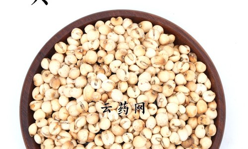 权威川芎茶调颗粒的功效与作用是什么?适合哪些人群服用?平台,分享专业川芎茶调颗粒的功效与作用禁忌知识_川芎茶调颗粒的功效与作用网